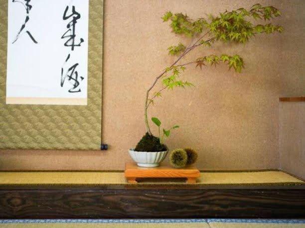 Ryokan Misato Minamioguni Exterior photo